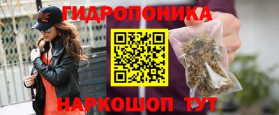 винт Кимры