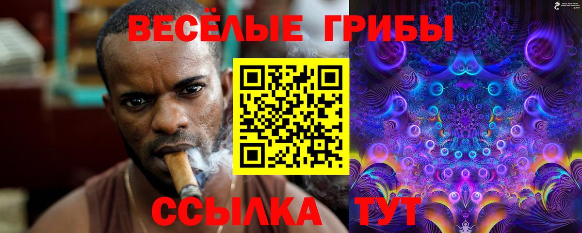 Галлюциногенные грибы GOLDEN TEACHER  Вход с VPN  Ижевск 